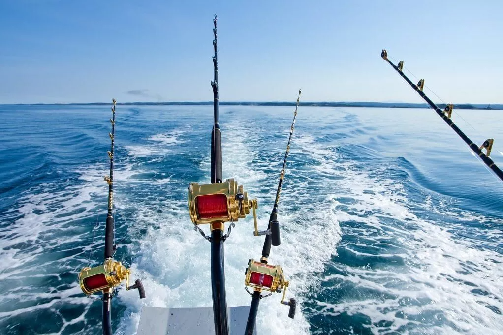 Fishing Trip